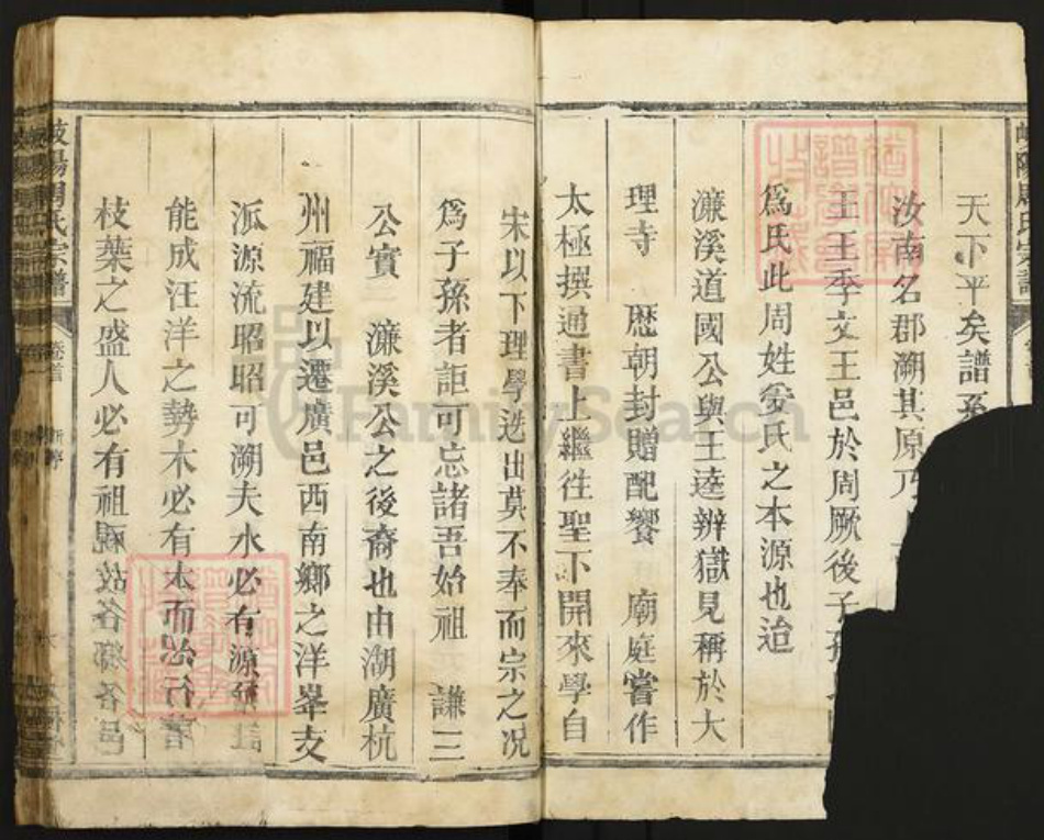 江西省上饶市广丰区洋口镇周氏太极堂族谱-岐阳周氏宗谱.pdf电子版插图2