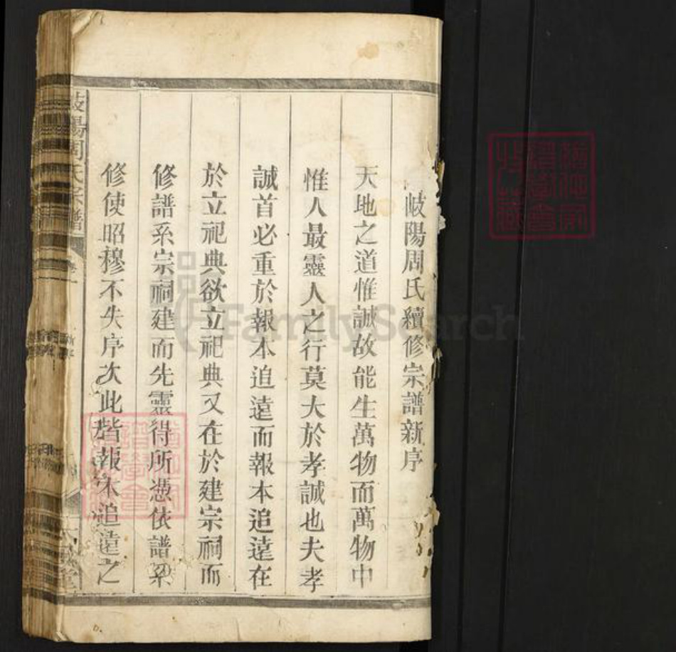 江西省上饶市广丰区洋口镇周氏太极堂族谱-岐阳周氏宗谱.pdf电子版插图1