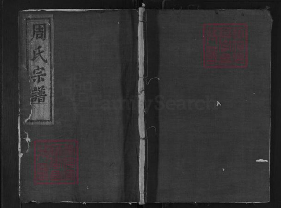 浙江省衢州龙游县周氏继志堂族谱-周氏宗谱.pdf电子版