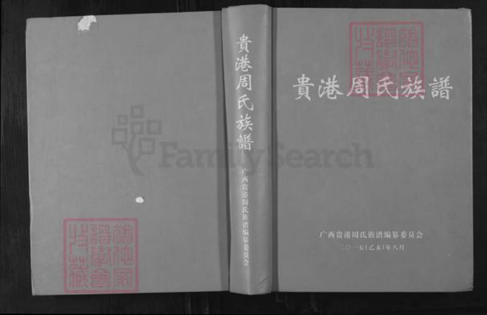广西壮族自治区贵港市周氏族谱-贵港周氏族谱.pdf电子版