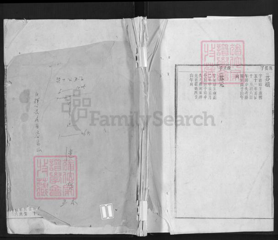 安徽省铜陵市郊区周潭镇周氏诜羽堂族谱-鹞石周氏诜羽堂支谱.pdf电子版