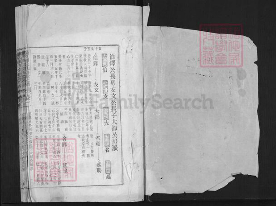 安徽省铜陵市郊区周潭镇周氏诜羽堂族谱-鹞石周氏诜羽堂支谱.pdf电子版插图1