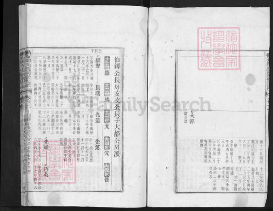 安徽省铜陵市郊区周潭镇周氏诜羽堂族谱-鹞石周氏诜羽堂支谱.pdf电子版插图3