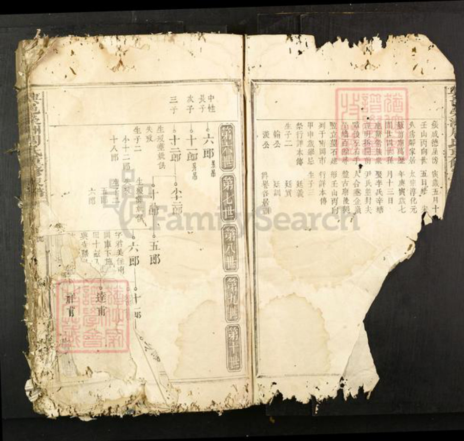 江西省赣州市兴国县周氏族谱-兴邑荣洲周氏重修家谱.pdf电子版插图1 江西省赣州市兴国县周氏族谱-兴邑荣洲周氏重修家谱.pdf电子版插图1