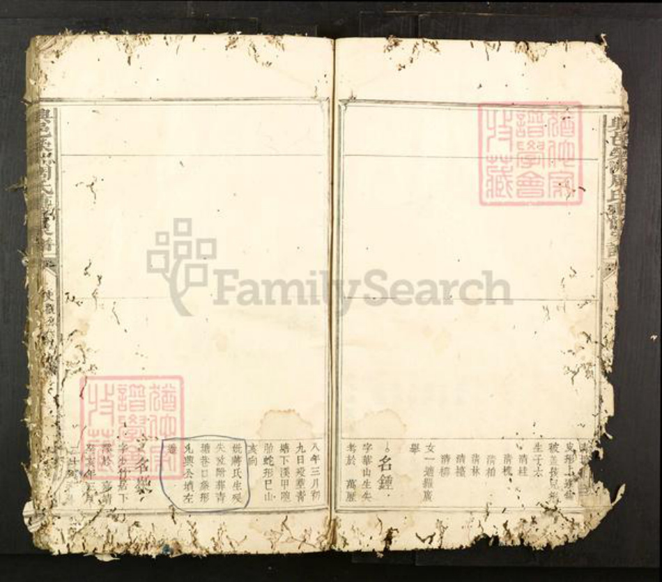 江西省赣州市兴国县周氏族谱-兴邑荣洲周氏重修家谱.pdf电子版插图5 江西省赣州市兴国县周氏族谱-兴邑荣洲周氏重修家谱.pdf电子版插图5