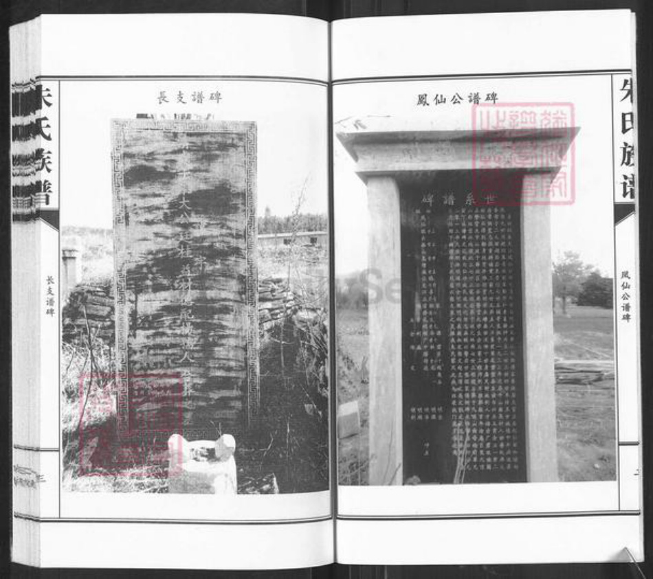 山东省枣庄市滕州市级索镇朱氏族谱-朱氏族谱.pdf电子版插图4