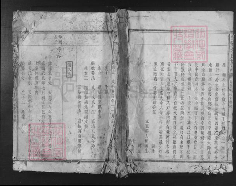 福建省漳州市漳浦县绥安镇朱氏族谱-绥安朱氏族谱.pdf电子版