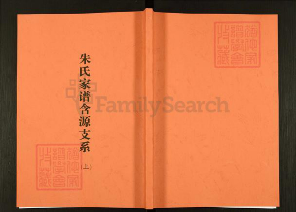 安徽省安庆市岳西县白帽镇朱氏族谱-朱氏家谱含源支系.pdf电子版