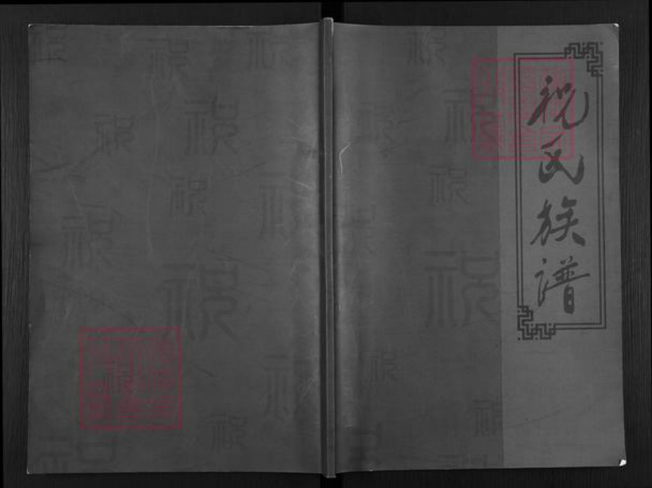 辽宁省盘锦盘山县祝氏族谱-祝氏族谱.pdf电子版