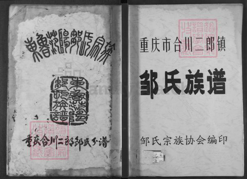 重庆市合川区邹氏族谱-邹氏族谱.pdf电子版插图 重庆市合川区邹氏族谱-邹氏族谱.pdf电子版插图