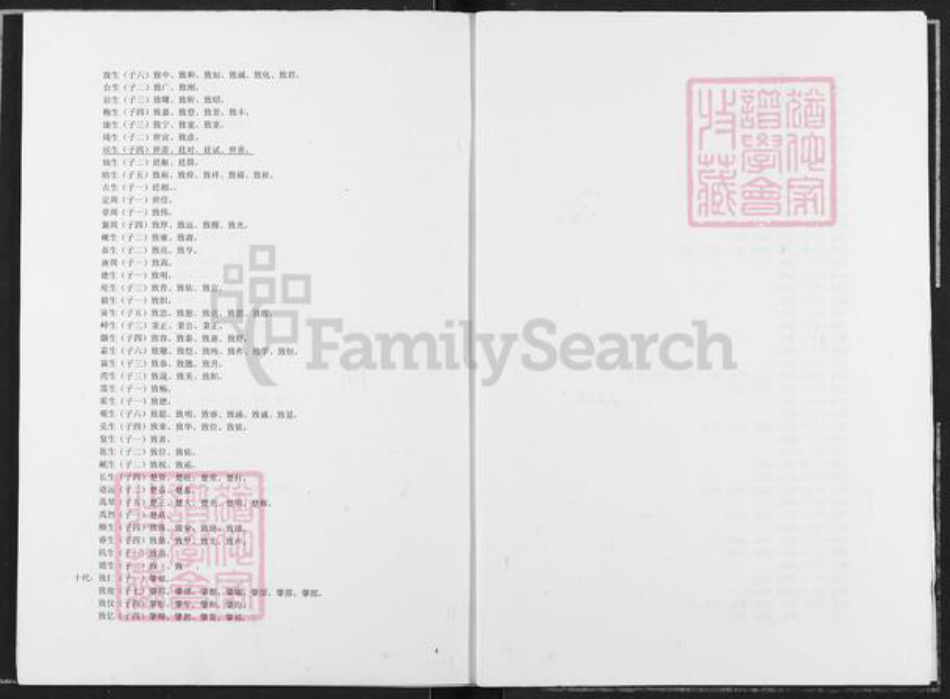 河北省保定市定兴县固城镇邹氏族谱-范阳郡邹氏海公裔支系总目.pdf电子版插图4 河北省保定市定兴县固城镇邹氏族谱-范阳郡邹氏海公裔支系总目.pdf电子版插图4
