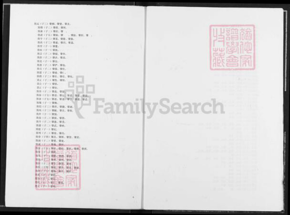 河北省保定市定兴县固城镇邹氏族谱-范阳郡邹氏海公裔支系总目.pdf电子版插图5 河北省保定市定兴县固城镇邹氏族谱-范阳郡邹氏海公裔支系总目.pdf电子版插图5