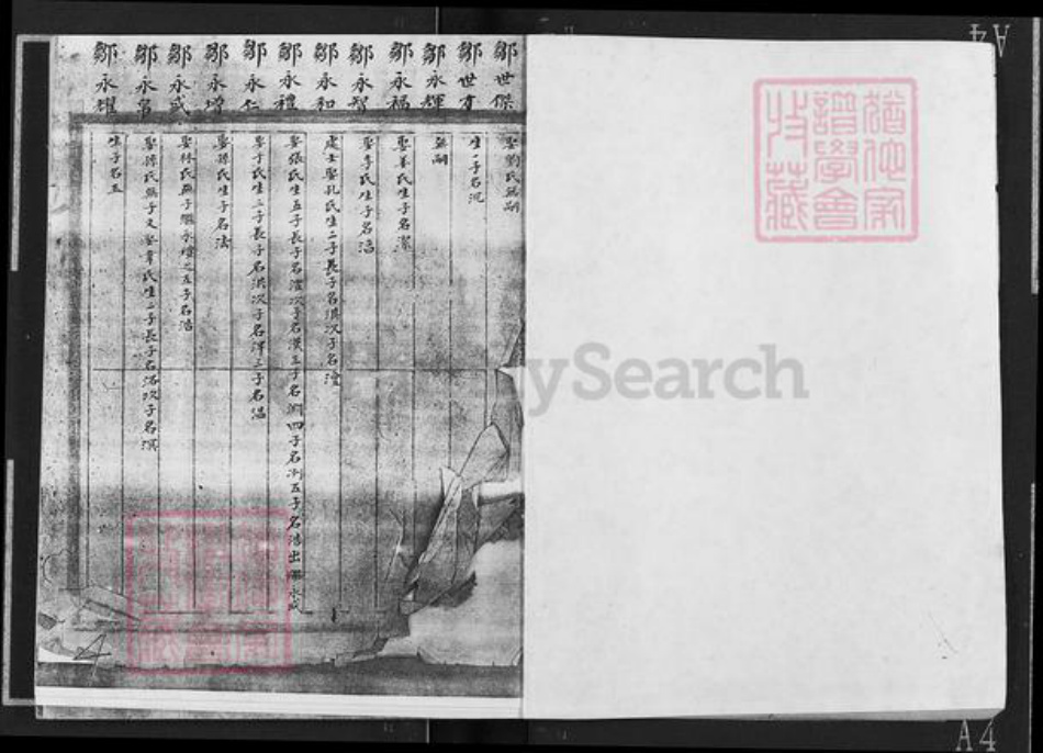 山东省烟台市福山区邹氏族谱-邹氏宗谱.pdf电子版插图2
