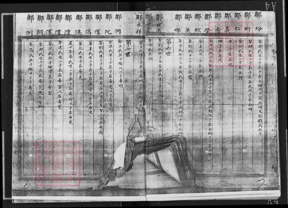山东省烟台市福山区邹氏族谱-邹氏宗谱.pdf电子版插图4