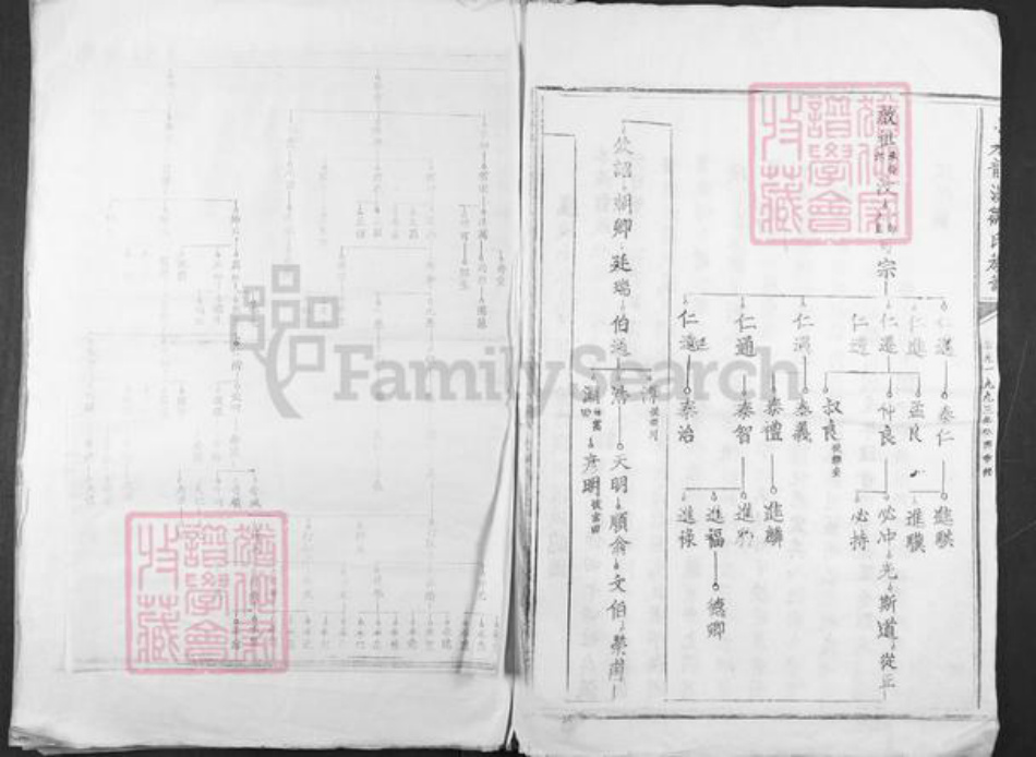江西省吉安市安福县寮塘乡邹氏族谱-小水龙溪邹氏族谱.pdf电子版插图2