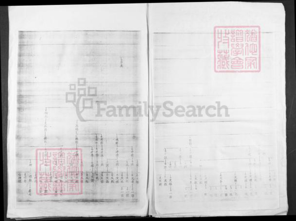 江西省吉安市安福县寮塘乡邹氏族谱-小水龙溪邹氏族谱.pdf电子版插图5