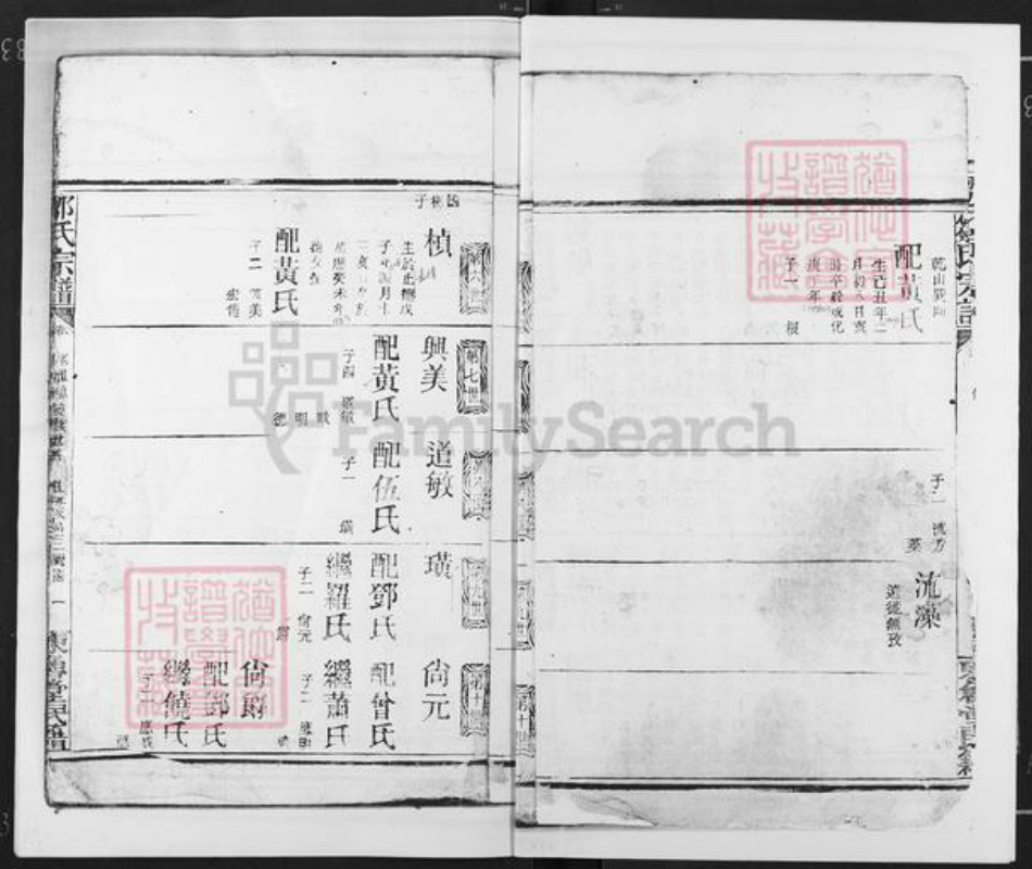湖北省天门市岳口镇邹氏东鲁堂族谱-邹氏宗谱.pdf电子版插图4