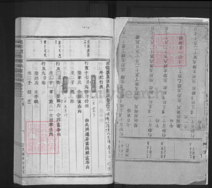 浙江省金华市浦江县陈氏族谱-浦阳环溪陈氏宗谱.pdf电子版插图1