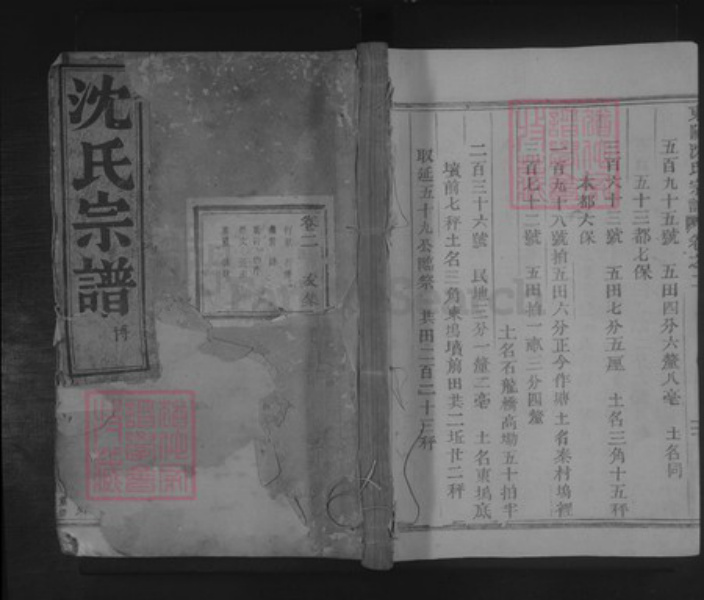 浙江省金华市东阳市沈氏族谱-东阳沈氏宗谱.pdf电子版插图