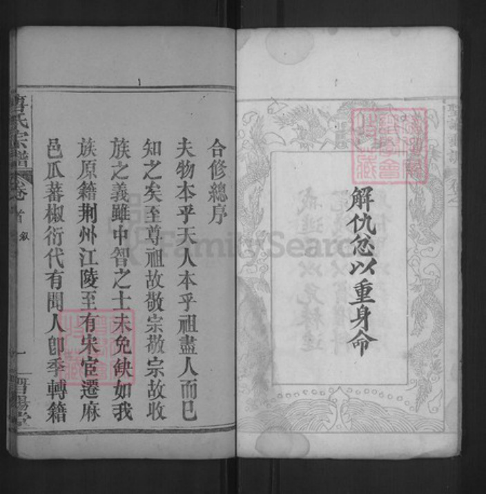 湖北省黄冈市红安县唐氏晋阳堂族谱-唐氏宗谱.pdf电子版插图5