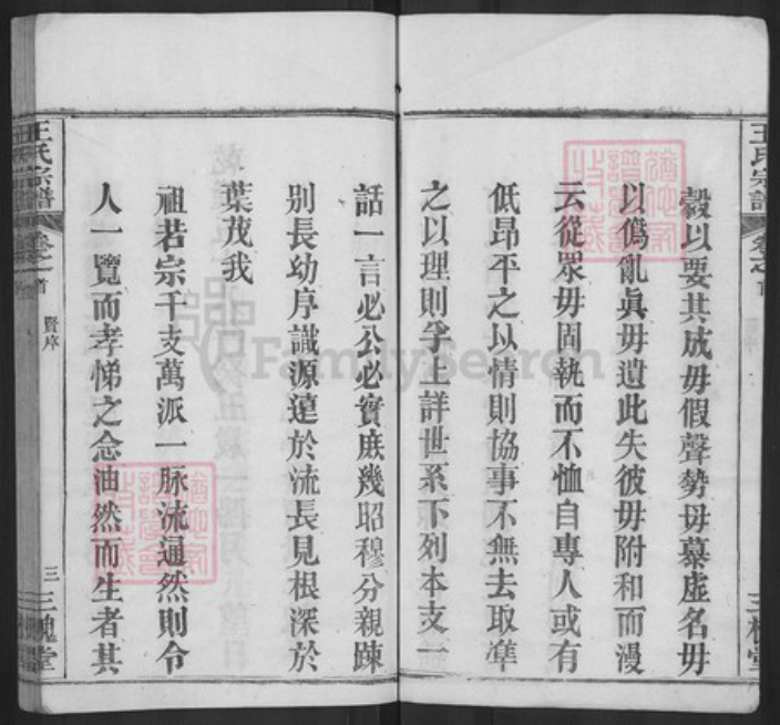 湖北省黄冈市麻城市王氏三槐堂族谱-王氏宗谱.pdf电子版插图4