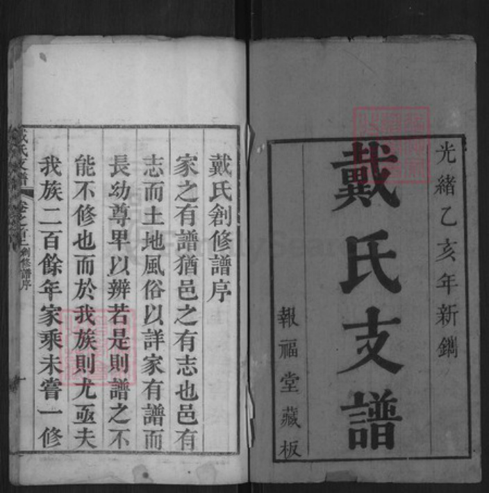 湖北省黄冈市红安县戴氏报福堂族谱-戴氏支谱.pdf电子版插图1