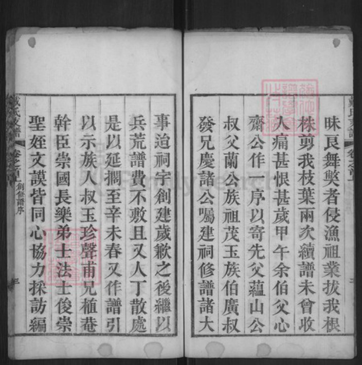 湖北省黄冈市红安县戴氏报福堂族谱-戴氏支谱.pdf电子版插图3