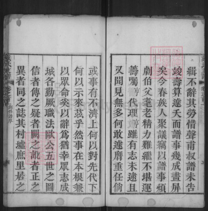 湖北省黄冈市红安县戴氏报福堂族谱-戴氏支谱.pdf电子版插图4
