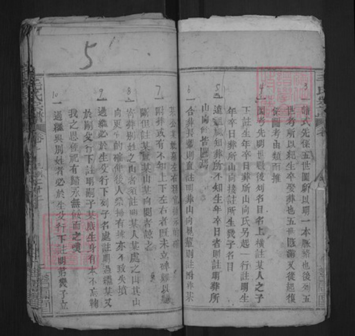 湖北省黄冈市麻城市毛氏乐寿堂族谱-毛氏宗谱.pdf电子版插图4