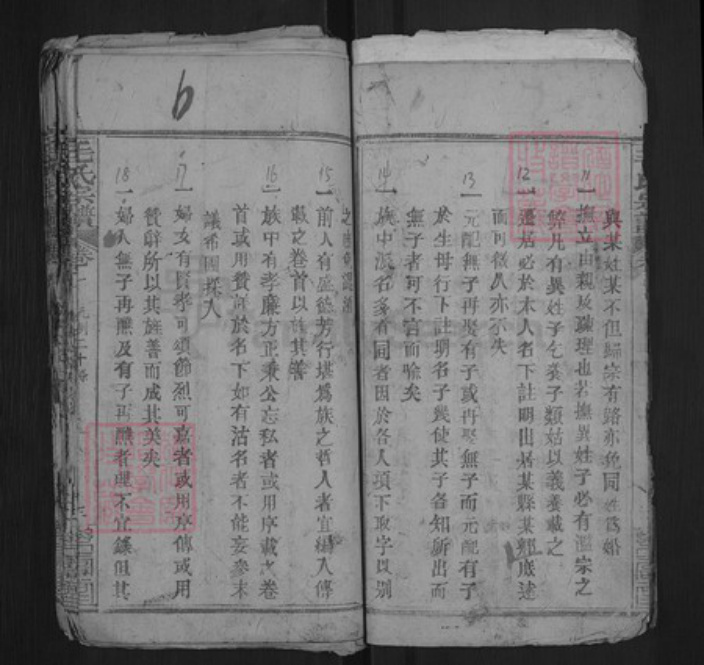 湖北省黄冈市麻城市毛氏乐寿堂族谱-毛氏宗谱.pdf电子版插图5
