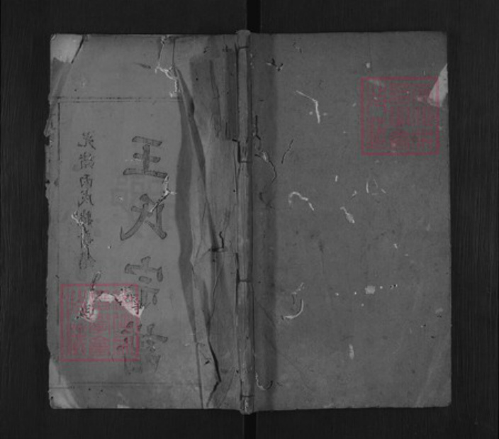 湖北省随州市随县三里岗镇王氏三槐堂族谱-王氏宗谱.pdf电子版插图