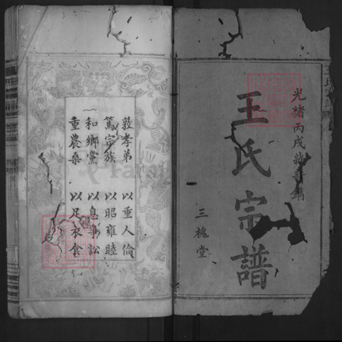 湖北省随州市随县三里岗镇王氏三槐堂族谱-王氏宗谱.pdf电子版插图1