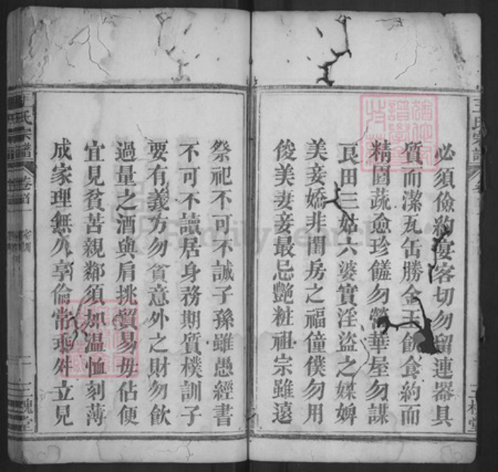 湖北省随州市随县三里岗镇王氏三槐堂族谱-王氏宗谱.pdf电子版插图4