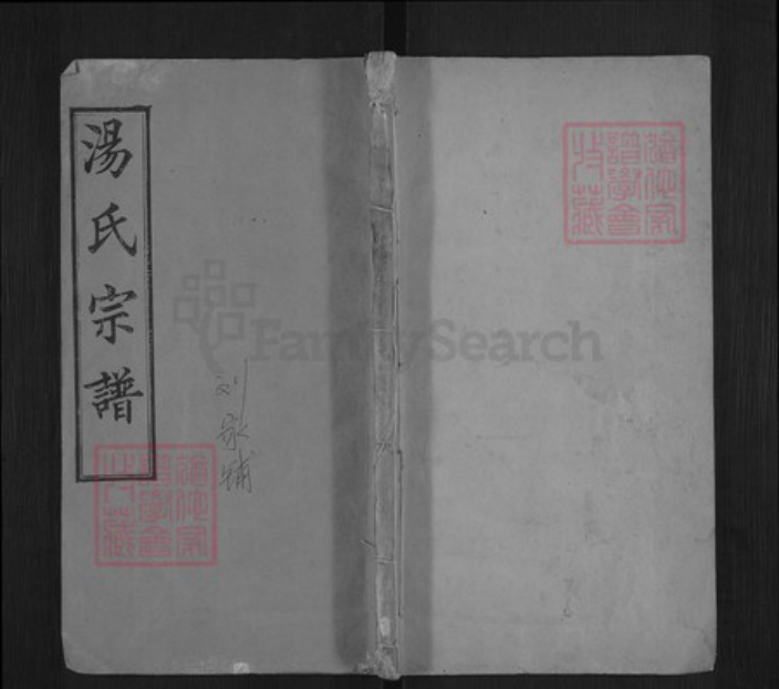 湖北省黄冈市浠水县洗马镇汤氏玉茗堂族谱-汤氏宗谱.pdf电子版插图