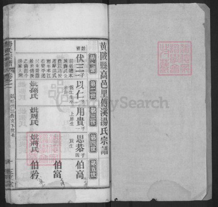 湖北省黄冈市浠水县洗马镇汤氏玉茗堂族谱-汤氏宗谱.pdf电子版插图1