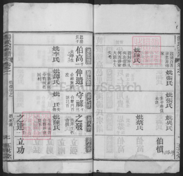 湖北省黄冈市浠水县洗马镇汤氏玉茗堂族谱-汤氏宗谱.pdf电子版插图2