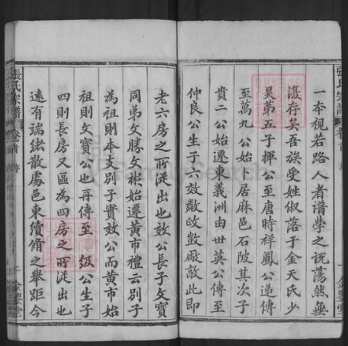 湖北省黄冈市麻城市张氏金鉴堂族谱-张氏宗谱.pdf电子版插图2