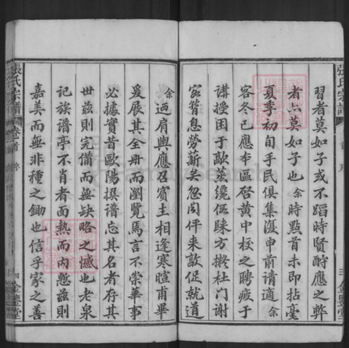 湖北省黄冈市麻城市张氏金鉴堂族谱-张氏宗谱.pdf电子版插图4