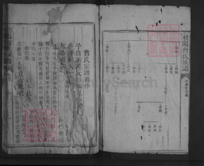 湖南省郴州市桂阳县曹氏族谱-桂阳曹氏宗谱.pdf电子版插图1