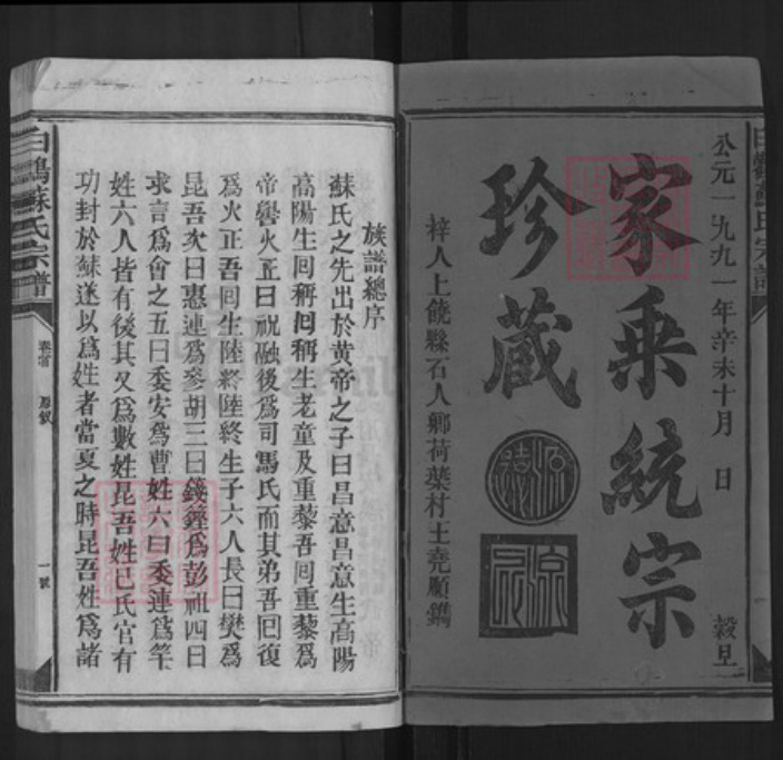 江西省上饶市上饶县苏氏族谱-白鹳苏氏宗谱.pdf电子版插图1