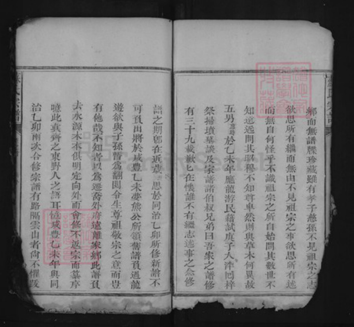 江西省上饶市上饶县茶亭镇苏氏族谱-苏氏宗谱.pdf电子版插图3