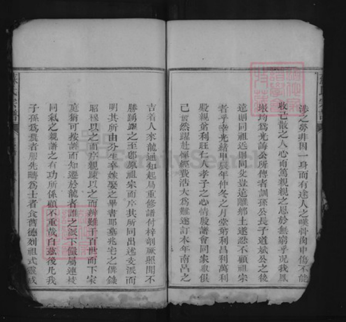 江西省上饶市上饶县茶亭镇苏氏族谱-苏氏宗谱.pdf电子版插图4
