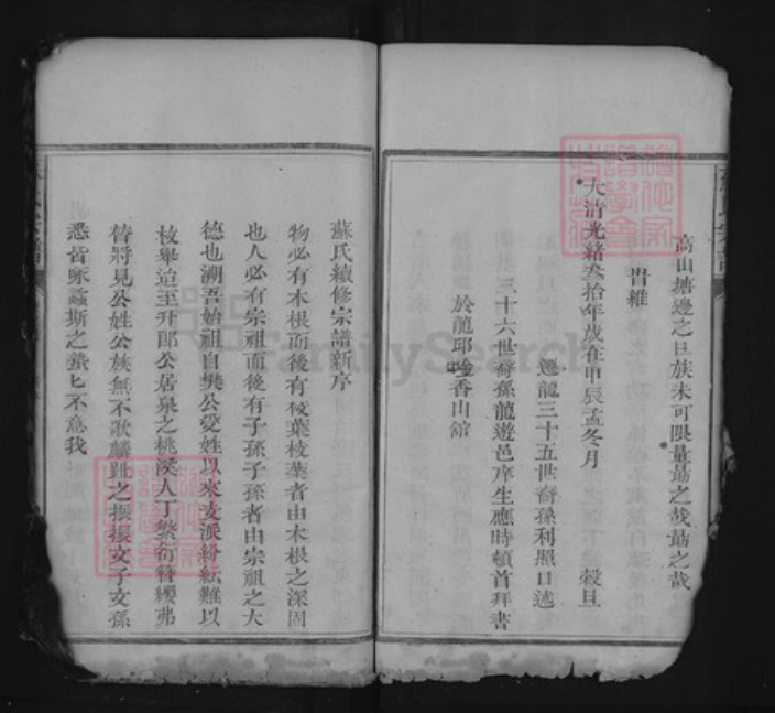 江西省上饶市上饶县茶亭镇苏氏族谱-苏氏宗谱.pdf电子版插图5