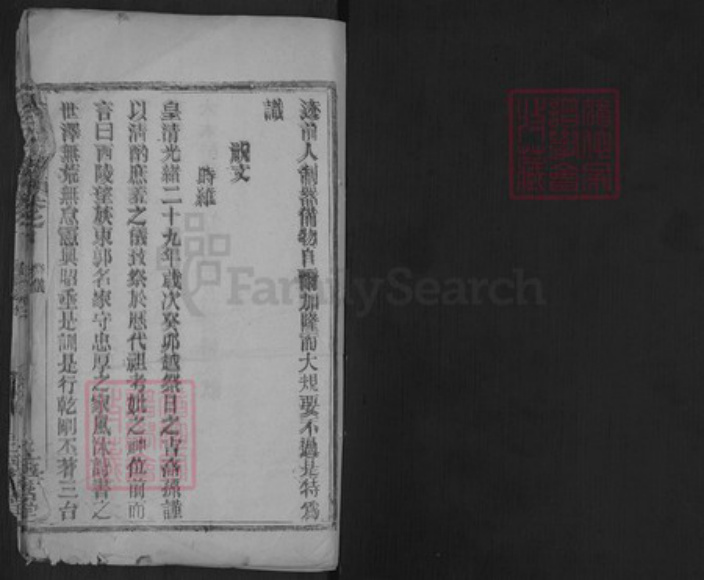 湖北省武汉市黄陂区汤氏玉茗堂族谱-汤氏宗谱.pdf电子版插图1
