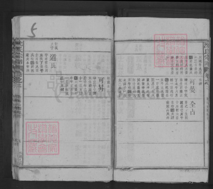江西省宜春市袁州区沈氏三义堂族谱-沈氏宗谱.pdf电子版插图5