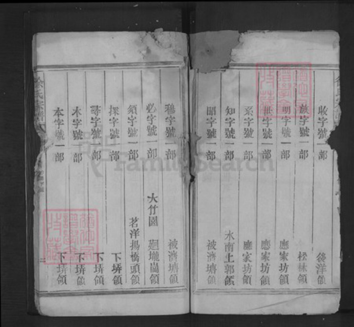 江西省上饶市信州区徐氏族谱-徐氏宗谱.pdf电子版插图4