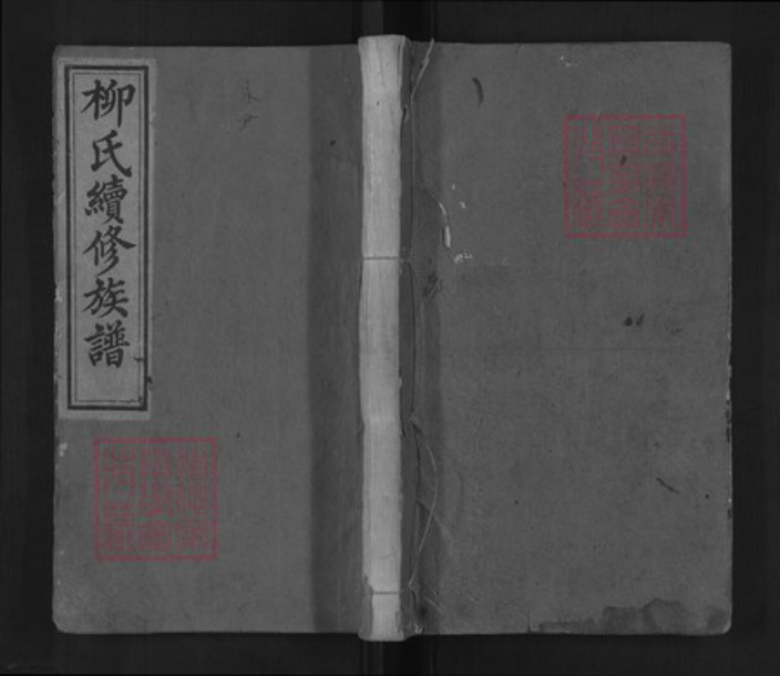 湖南省邵阳市新宁县金石镇柳氏河东堂族谱-柳氏续修族谱.pdf电子版