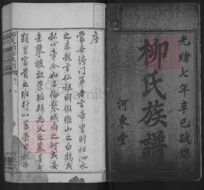 湖南省邵阳市新宁县金石镇柳氏河东堂族谱-柳氏续修族谱.pdf电子版插图1