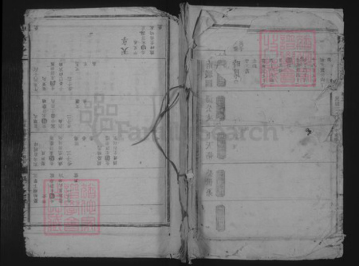 江西省宜春市靖安县尹氏孔硕堂族谱-尹氏宗谱.pdf电子版