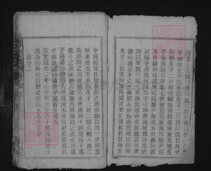 江西省九江市湖口县段氏族谱-段氏宗谱.pdf电子版插图2 江西省九江市湖口县段氏族谱-段氏宗谱.pdf电子版插图2